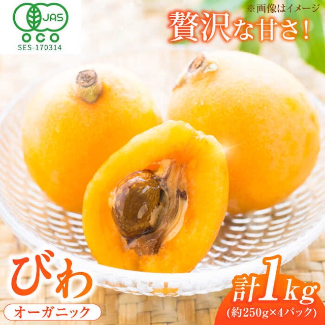 JAふくおか八女 びわ（楽天ふるさと納税 福岡県広川町）