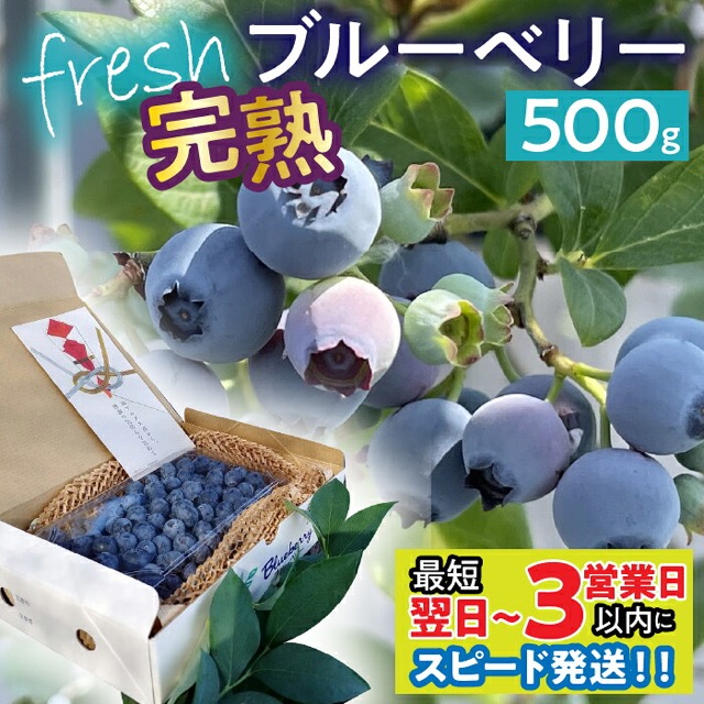 完熟フレッシュブルーベリー（楽天ふるさと納税 山梨県南アルプス市）