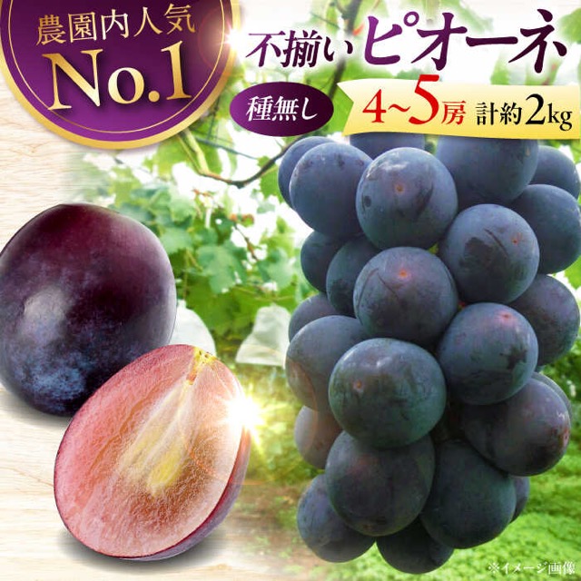 訳あり ピオーネ（楽天ふるさと納税 広島県三次市）