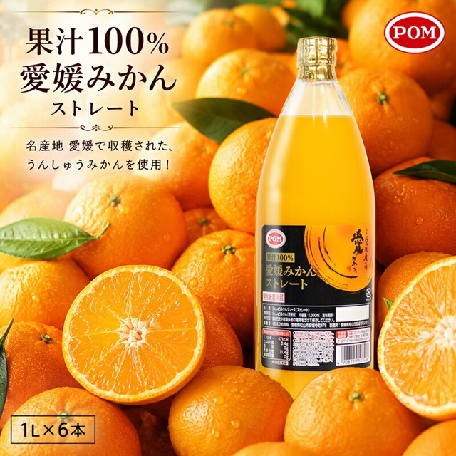 愛媛みかんストレート(楽天ふるさと納税 愛媛県松山市)