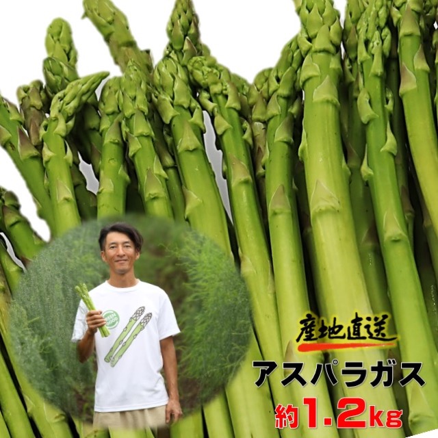採りたて夏アスパラガス(楽天ふるさと納税 岩手県北上市)