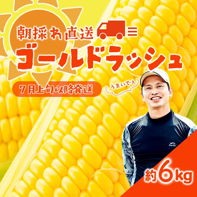朝採りゴールドラッシュ(楽天ふるさと納税 茨城県八千代町)