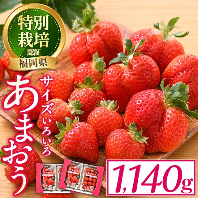 不揃い あまおう 285g×4パック（楽天ふるさと納税 福岡県春日市）
