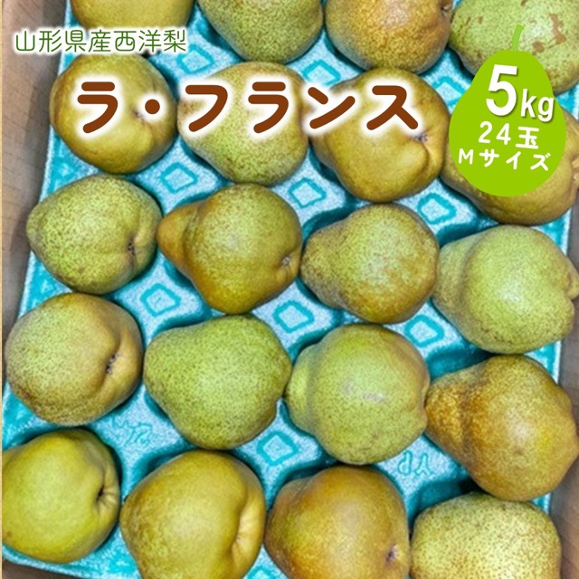 西洋梨（ラ・フランス）5kg Mサイズ ご家庭用（24玉・傷・不揃い）（楽天ふるさと納税 山形県上山市）