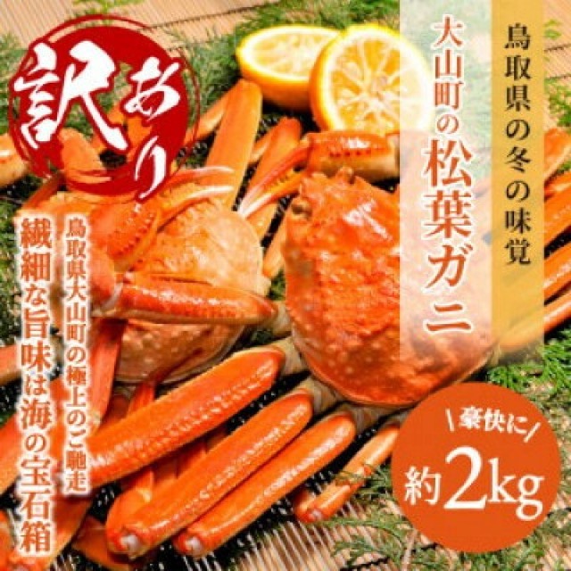 11月中旬以降 訳あり松葉ガニ(楽天ふるさと納税 鳥取県智頭町)