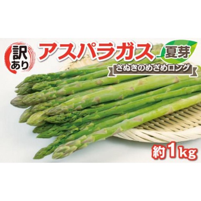 訳あり さぬきのめざめロング(楽天ふるさと納税 香川県さぬき市)