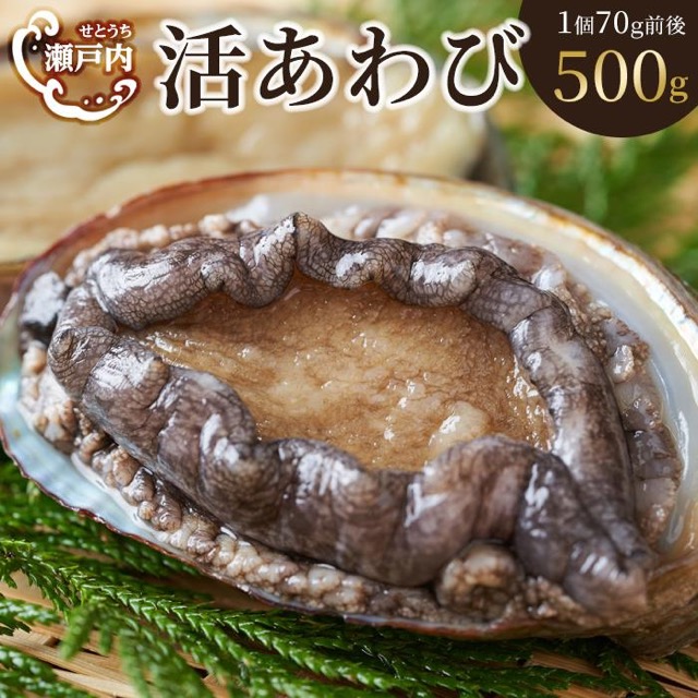 瀬戸内あわび(活)(楽天ふるさと納税 香川県坂出市)