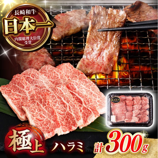 長崎和牛 A5 ハラミ(楽天ふるさと納税 長崎県諫早市)