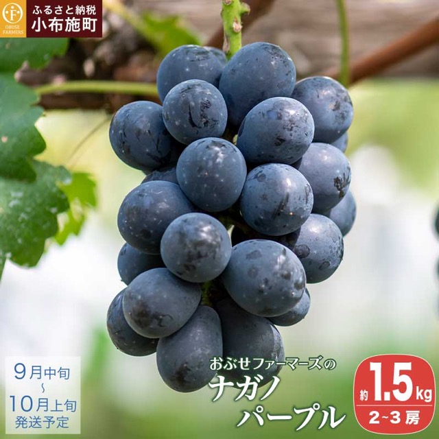 おぶせファーマーズ ナガノパープル（楽天ふるさと納税 長野県小布施町）