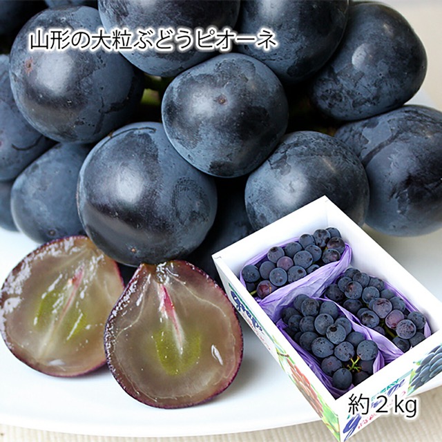 山形産 ピオーネ 秀品（楽天ふるさと納税 山形県山形市）