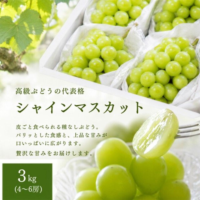 シャインマスカット 秀品（楽天ふるさと納税 山形県山形市）