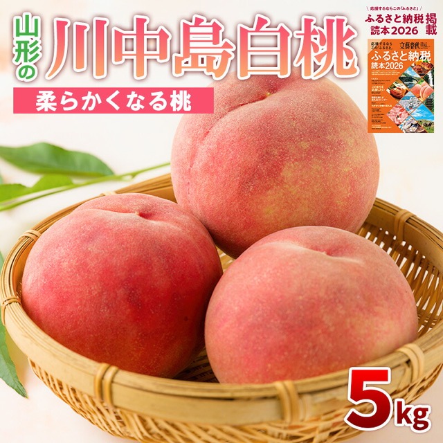 川中島白桃（楽天ふるさと納税 山形県山形市）