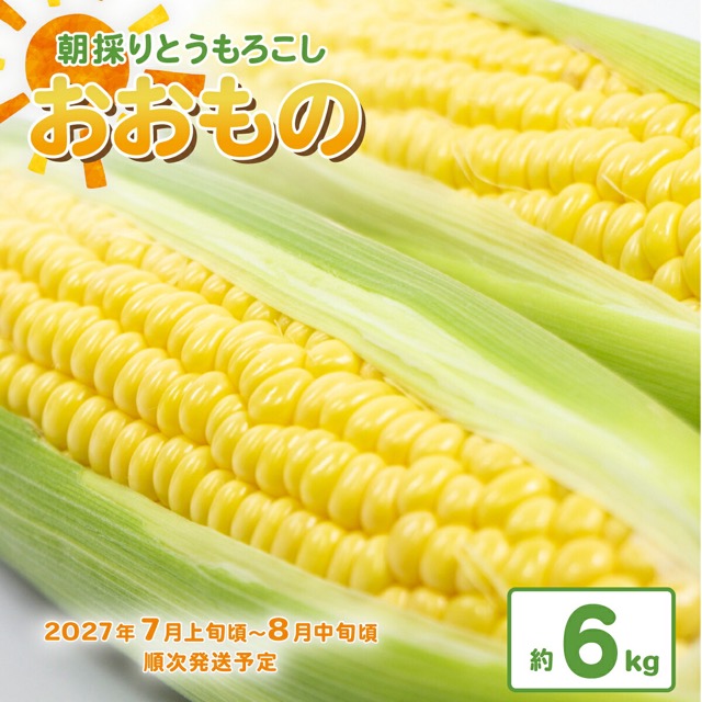 朝採りとうもろこし「おおもの」(楽天ふるさと納税 茨城県下妻市)