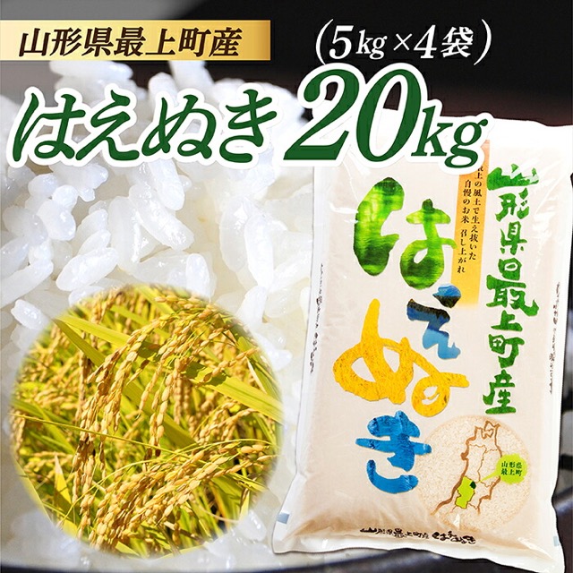 令和8年産 山形県産 はえぬき（楽天ふるさと納税 山形県最上町）