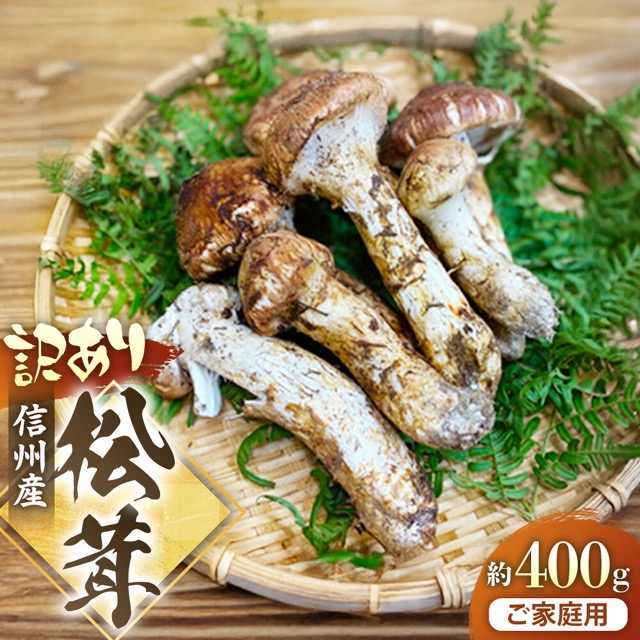 信州産 松茸 ご家庭用 訳あり品（楽天ふるさと納税 長野県豊丘村）