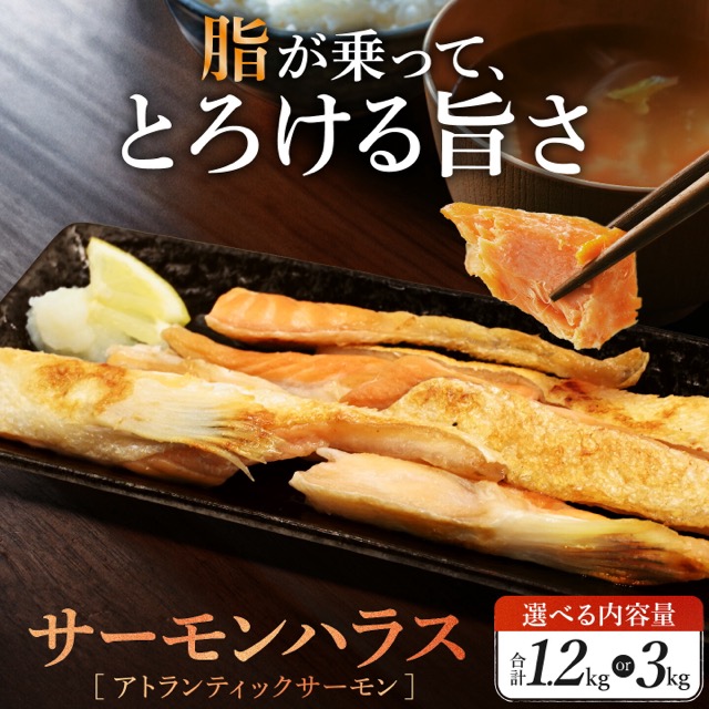 サーモン ハラス アトランティックサーモン(楽天ふるさと納税 茨城県大洗町)