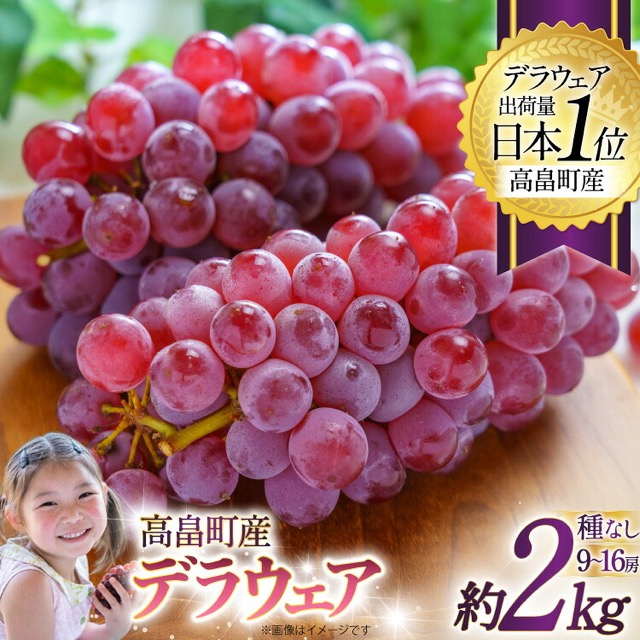 デラウェア 約2kg 齋藤ファーム(楽天ふるさと納税 山形県高畠町)