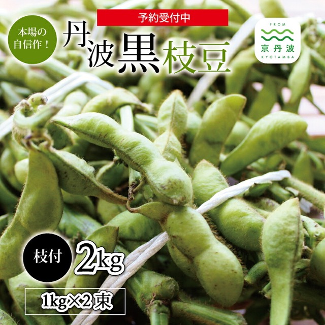丹波黒枝豆 枝付き（楽天ふるさと納税 京都府京丹波町）