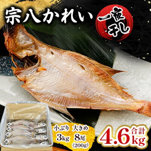 一夜干し宗八かれいセット（楽天ふるさと納税 岩手県宮古市）