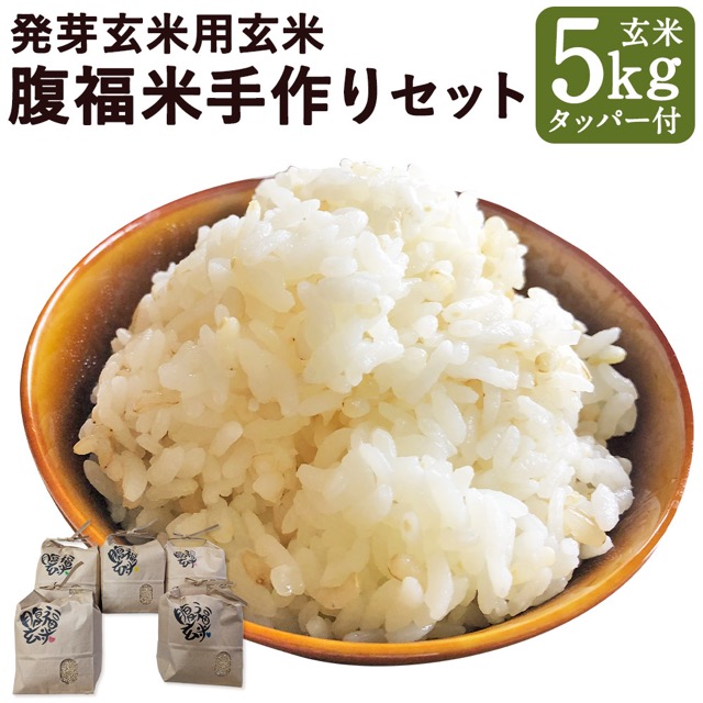 発芽玄米用玄米 腹福米 ヒノヒカリ(楽天ふるさと納税 熊本県益城町)