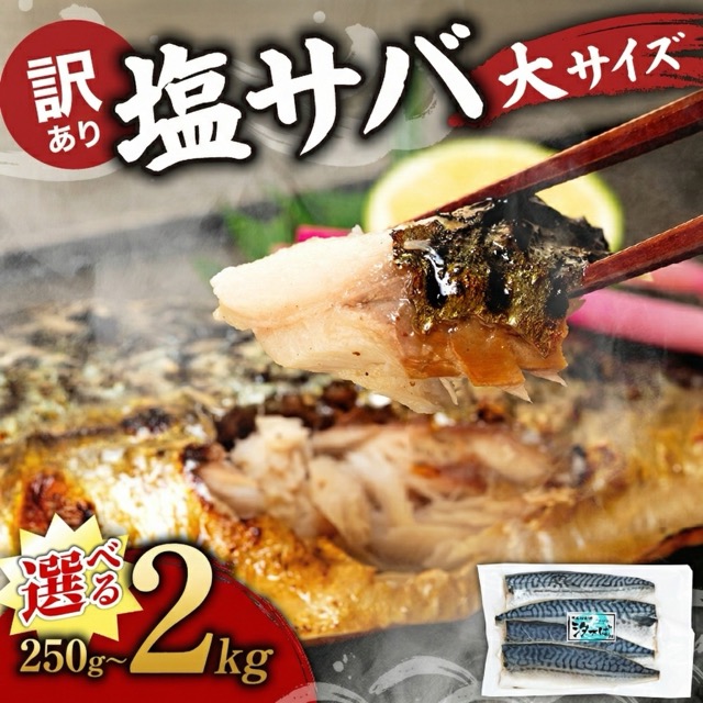 訳あり 塩サバ ノルウェー産 フィレ(楽天ふるさと納税 愛知県南知多町)