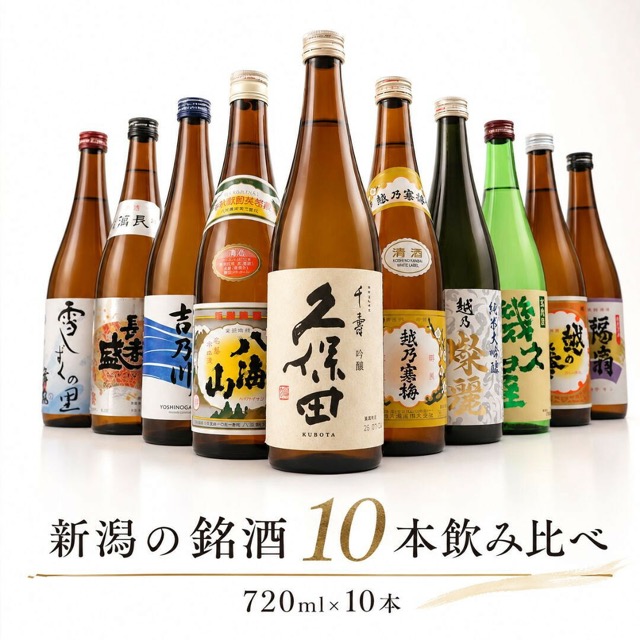 新潟有名酒と純米大吟醸入り10種類飲み比べ（楽天ふるさと納税 新潟県）