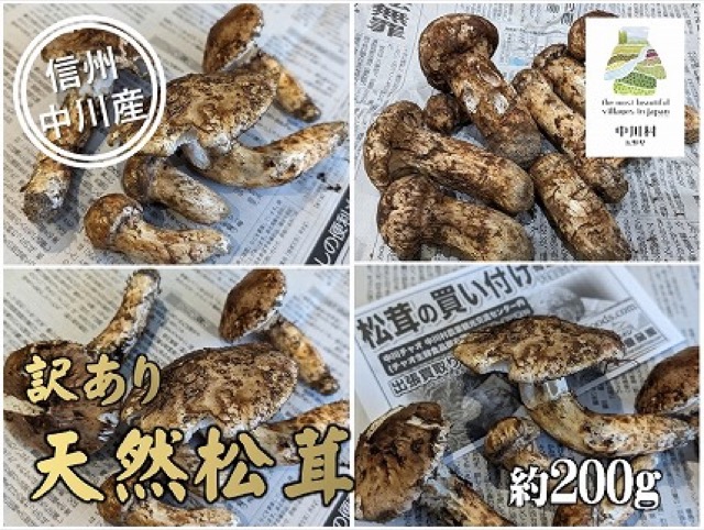 中川村の秋の味覚 松茸 訳あり（楽天ふるさと納税 長野県中川村）