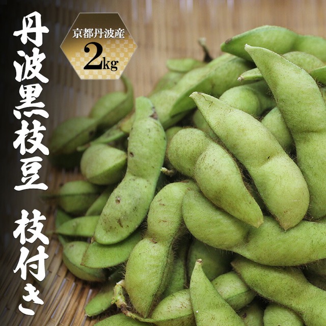 丹波黒枝豆 枝付き（楽天ふるさと納税 京都府南丹市）