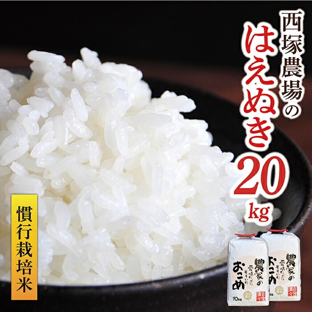 令和8年産 慣行栽培米 はえぬき 白米（楽天ふるさと納税 山形県最上町）