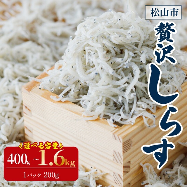 愛媛県産 釜揚げしらす(楽天ふるさと納税 愛媛県松山市)