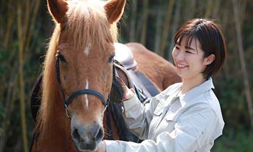 競走馬に携わる牧場はこんな人に向いている 馬を大切にできれば◎