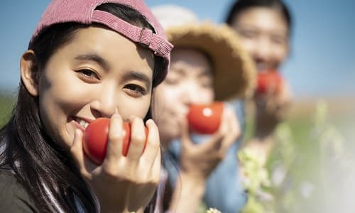 トマトを手にする農業女子