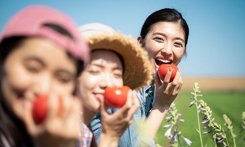 農業バイトを楽しんでいる女性たち