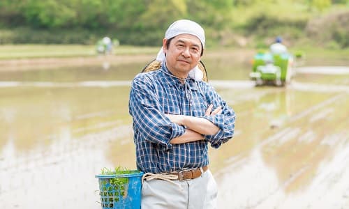 田植えをする農家