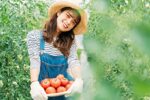 農家の仕事内容は収穫だけじゃない！野菜農家の1日～年間の流れを紹介