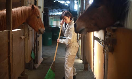 競走馬に携わる牧場の仕事内容 いかに競走馬としての能力を高められるかがポイント