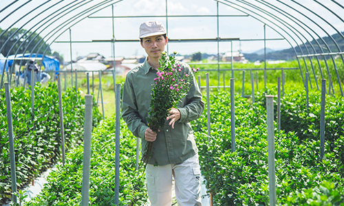 花き農家の1日の流れ 午前中に収穫した作物を午後に出荷