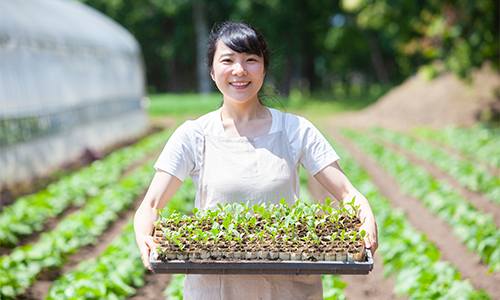 畑作はこんな人に向いている 「自然が好き」が大前提