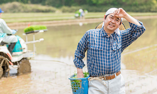 田植えをする農家