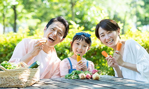 露地栽培のやりがい・魅力 自然の恵みを食卓に届ける