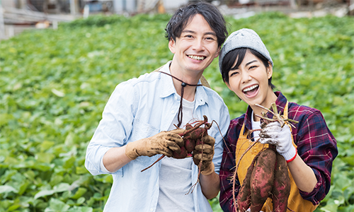 食卓に欠かせない食品の素材を作る 畑作の生産物例