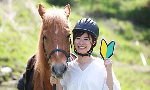 競走馬に携わる牧場のQ&A 未経験者は働けない？