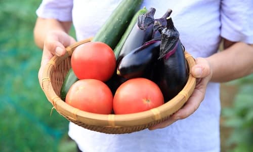 かごに盛られた新鮮野菜