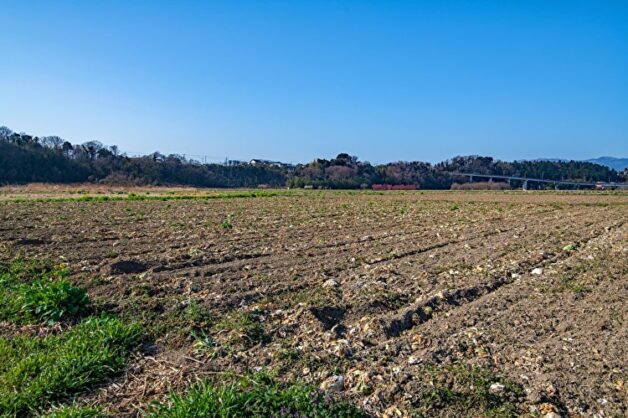 新規就農者が土地探しするなら？農地を購入・借りる方法やサイトを紹介