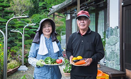 育てたいのは野菜？家畜？農業の業種を確認しよう