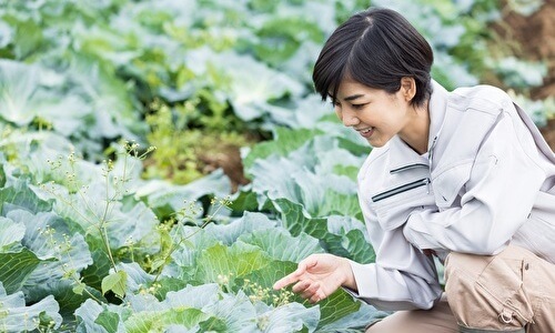 農作業をする女性