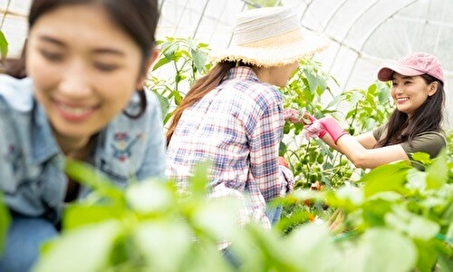 農業女子