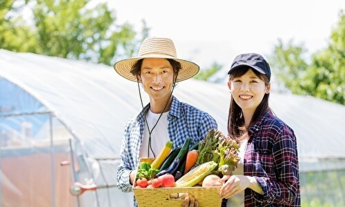 野菜を持つカップル