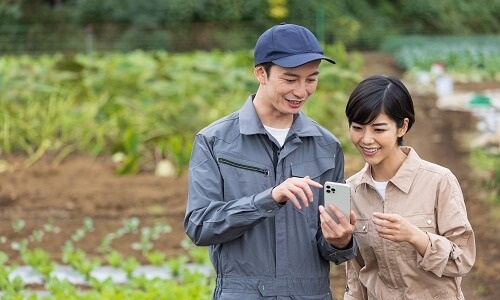 スマホをみる農家夫婦