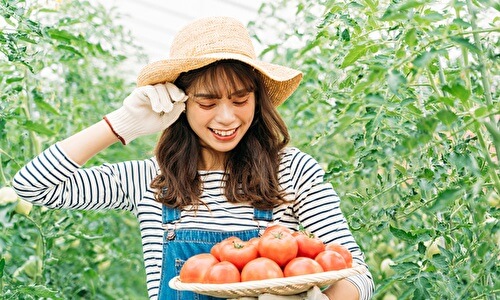 野菜を持つ女性農家